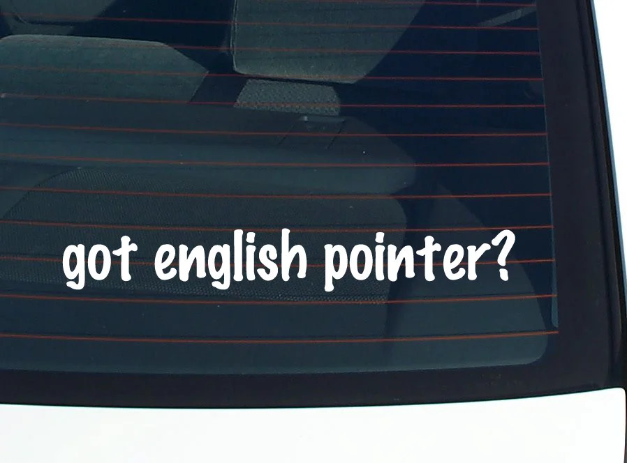 got english pointer? CAR DECAL BUMPER STICKER VINYL FUNNY JOKE WINDOW
