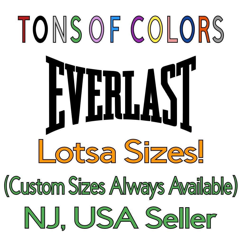 Everlast Boxing Die Cut Vinyl Decal – Car Toolbox etc etc Fight Sports Ring