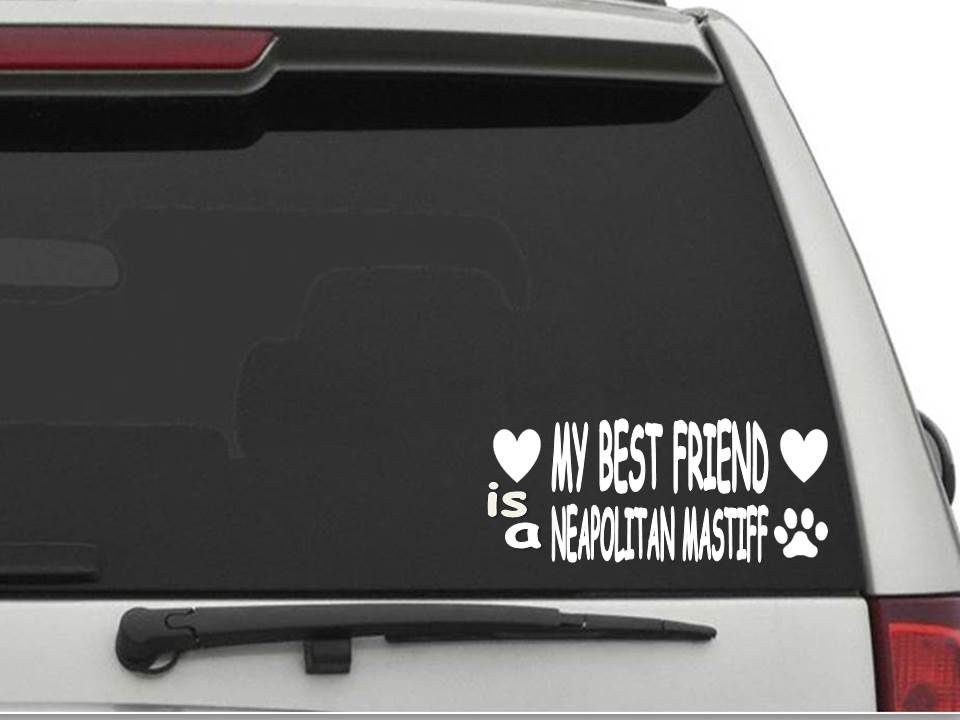MY BEST FRIEND IS A NEWFOUNDLAND Decal Sticker CW1040