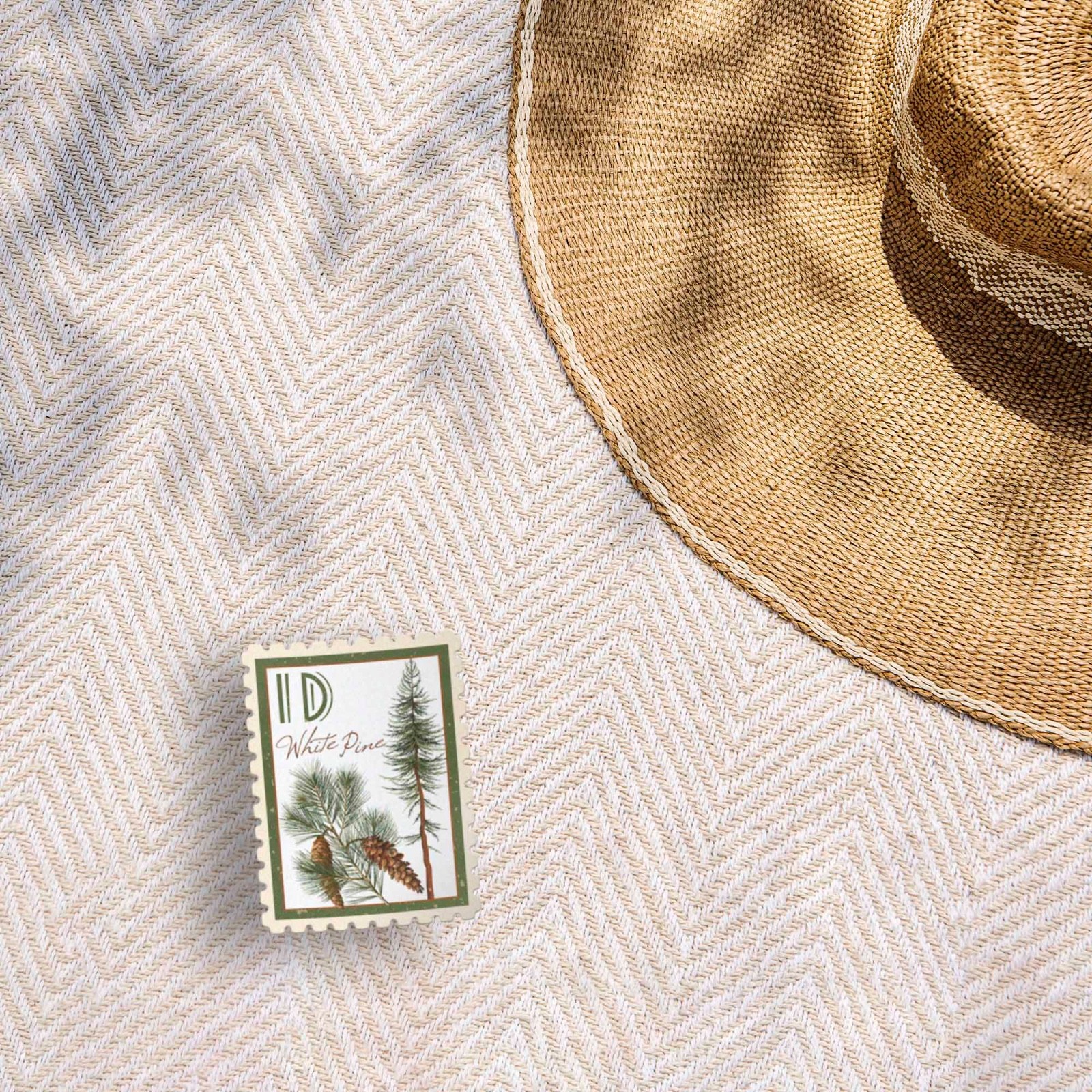 Idaho State Tree White Pine Sticker- ID Vintage Stamp Decal