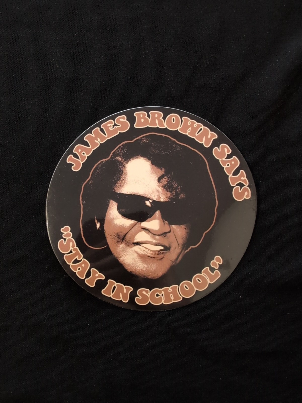 James Brown Say “Stay In School” Bumper Sticker Vinyl Decal 4.5″