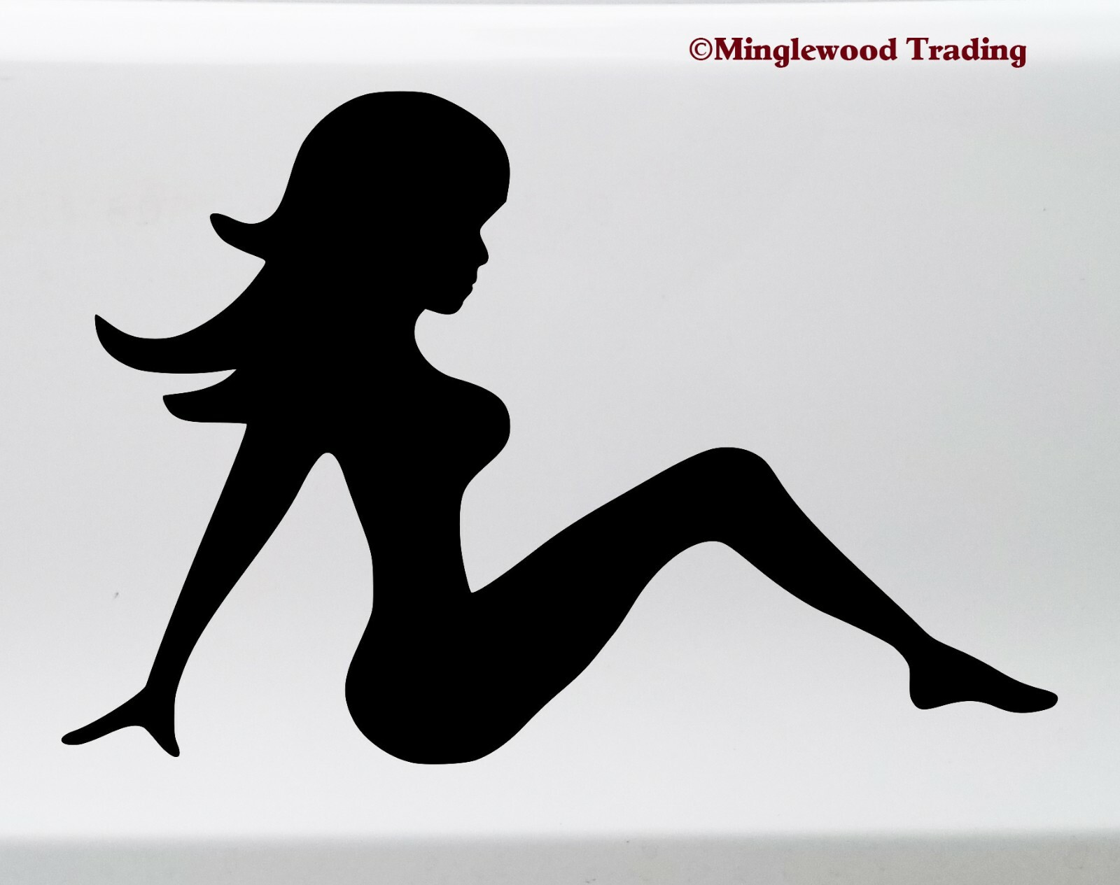 Mudflap Girl – Vinyl Sticker – Trucker Woman Silhouette Lady 4×4 – Die Cut Decal