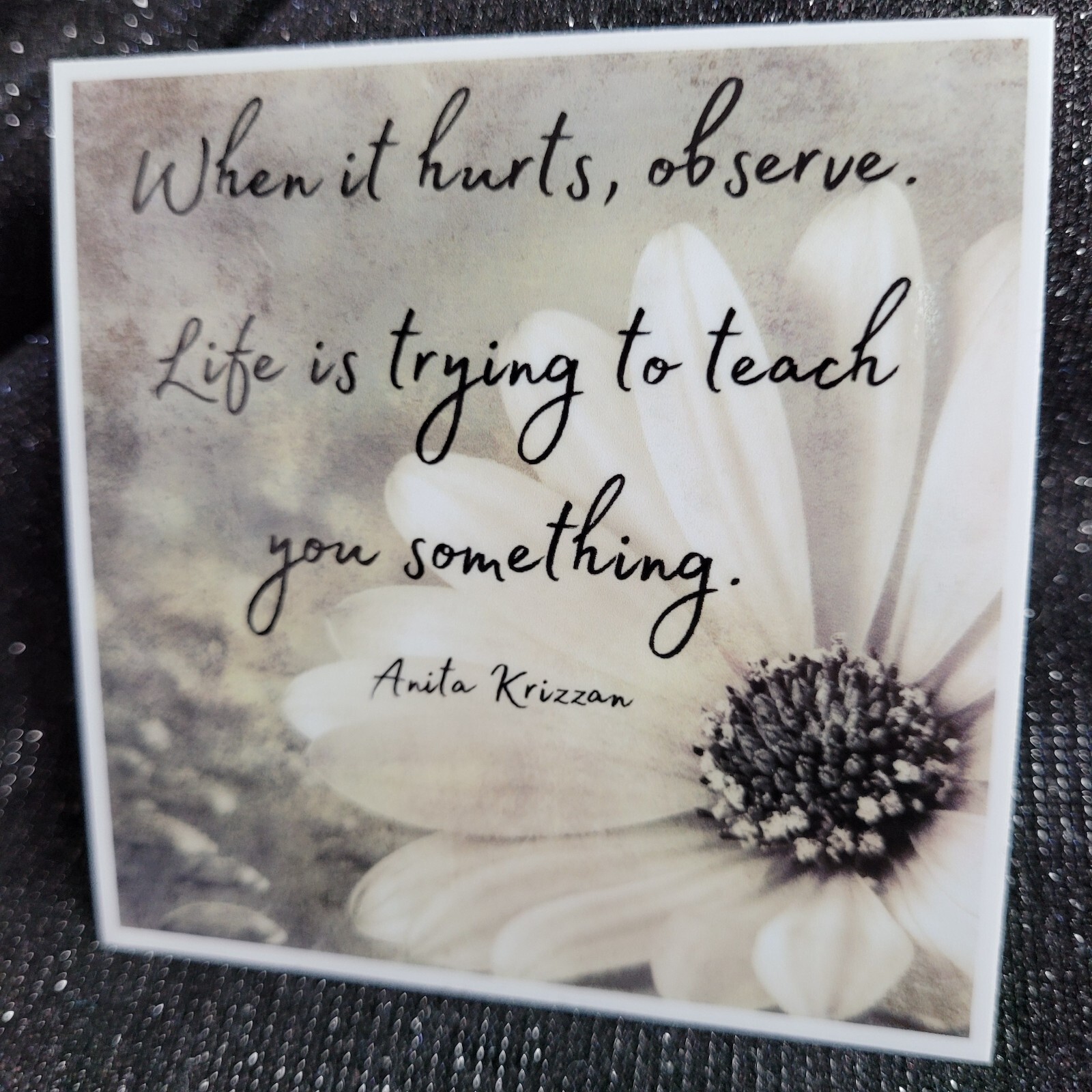 STKR015 Inspire Motivate Life Quote Sticker – Observe Teaching Hurt Learn Teach