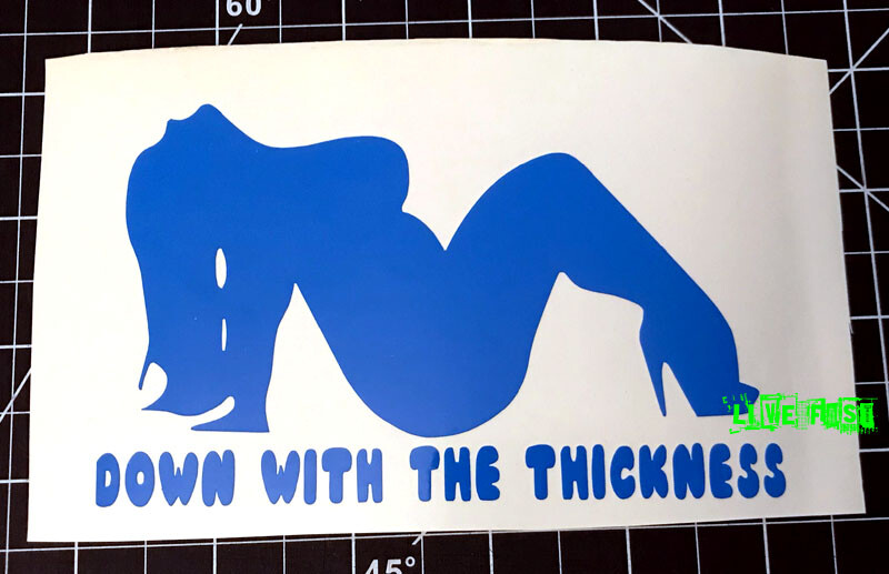 DOWN WITH THE THICKNESS DECAL STICKER BBW CHUBBY CHASER THICK THIGHS WOMAN