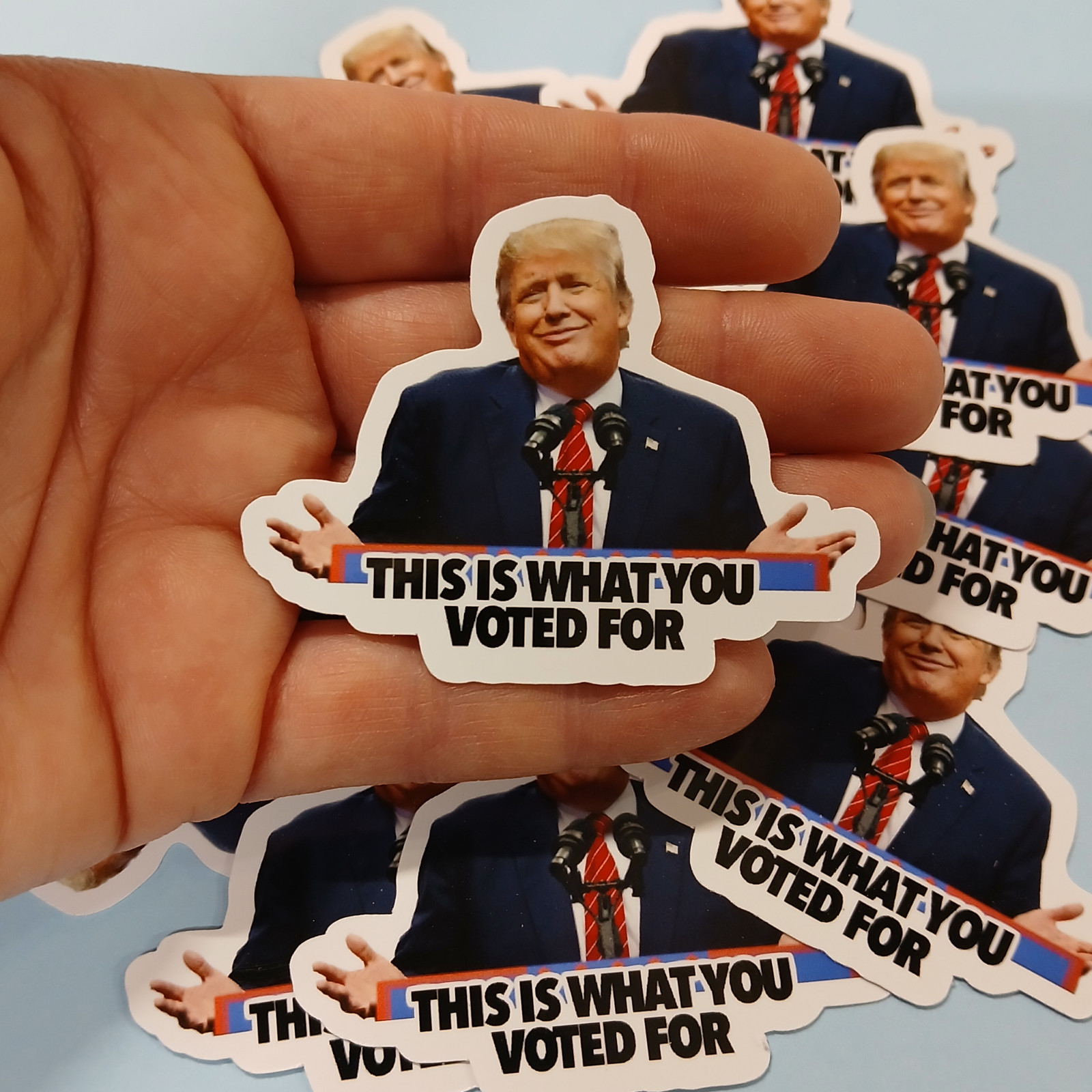 Trump Sticker -“This is What You Voted For” Anti-Trump Political Meme – 12 pack