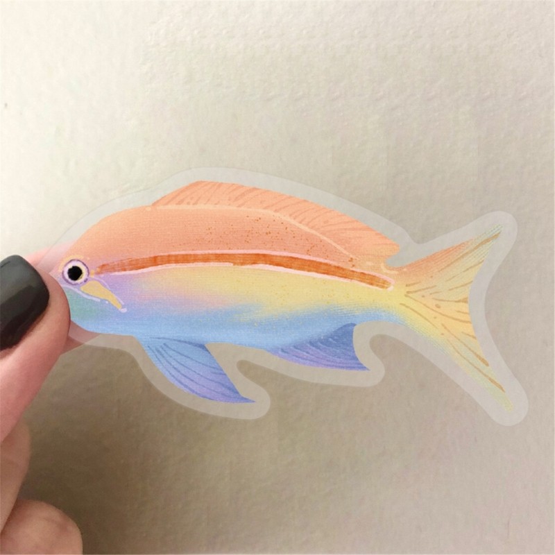 50 Sheets Fish Sticker Decal Decorative Sticker Waterproof Sea Animal Sticker