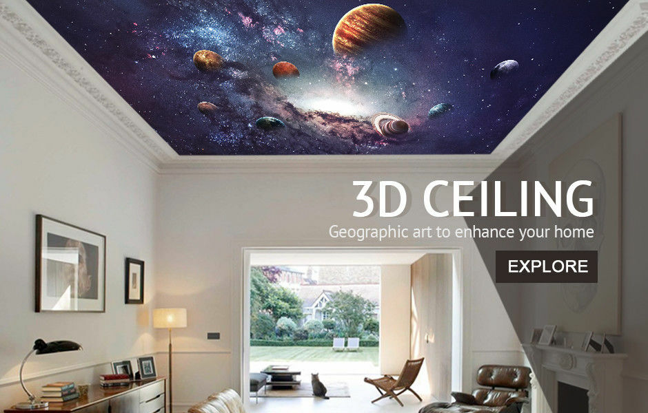 3D Lemon Chilled Beverage A1506 Window Stickers Vinyl Wallpaper Wall Murals Amy