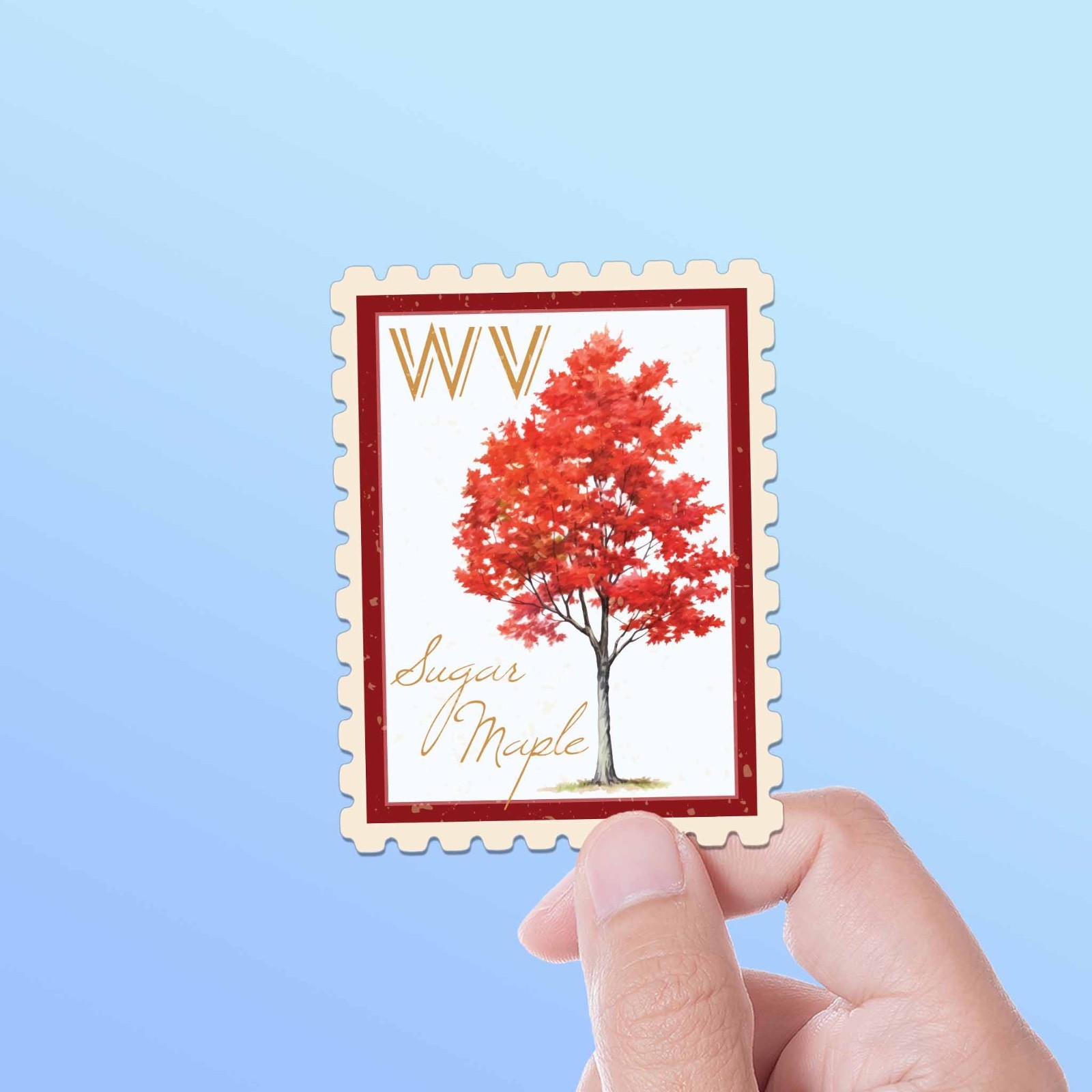 West Virginia State Tree Sugar Maple Sticker – WV Vintage Stamp Decal