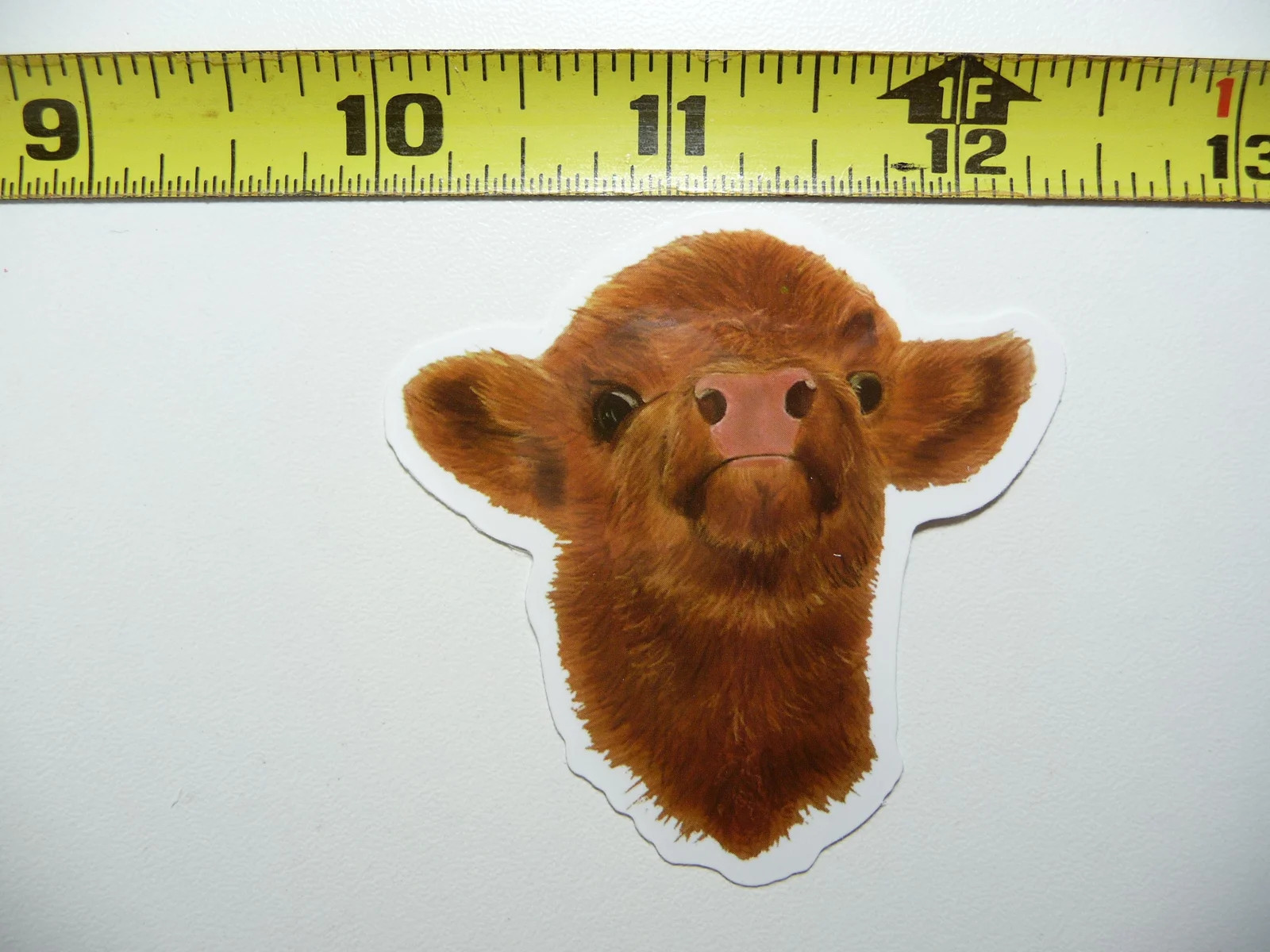 SCOTTISH HIGHLAND CATTLE YOUNG #2 SMALL STICKER DECAL RANCH SCOTLAND FUNNY COW