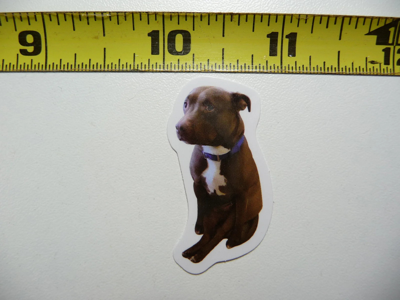 FUNNY DOG SMALL STICKER DECAL AX163 PITBULL WALK SIZE FUN HI PET FUNNY