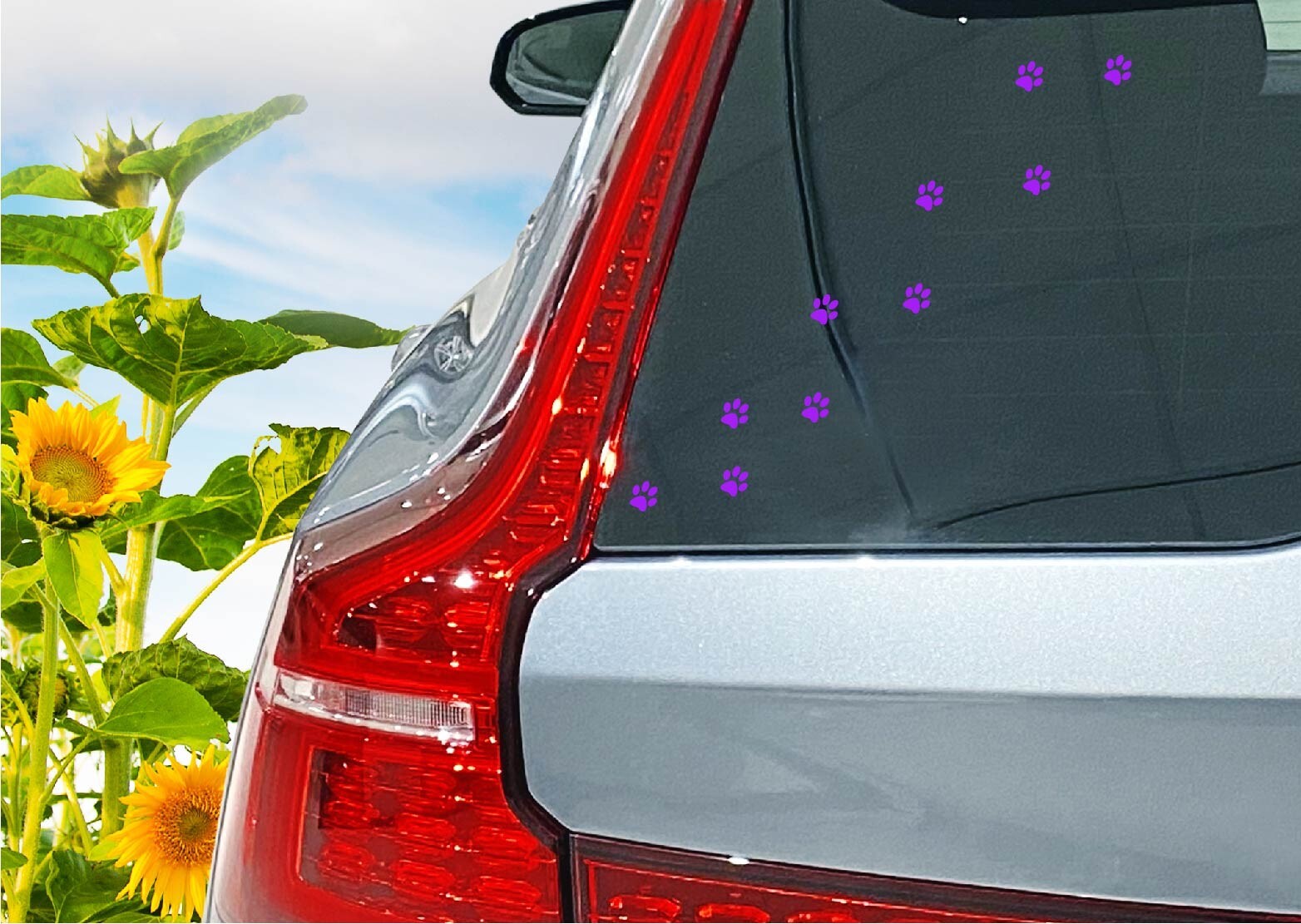Set of 24 – 1 Inch Pawprint Decal Bundle Sticker Pet Dog Cat Paw Prints Breeds