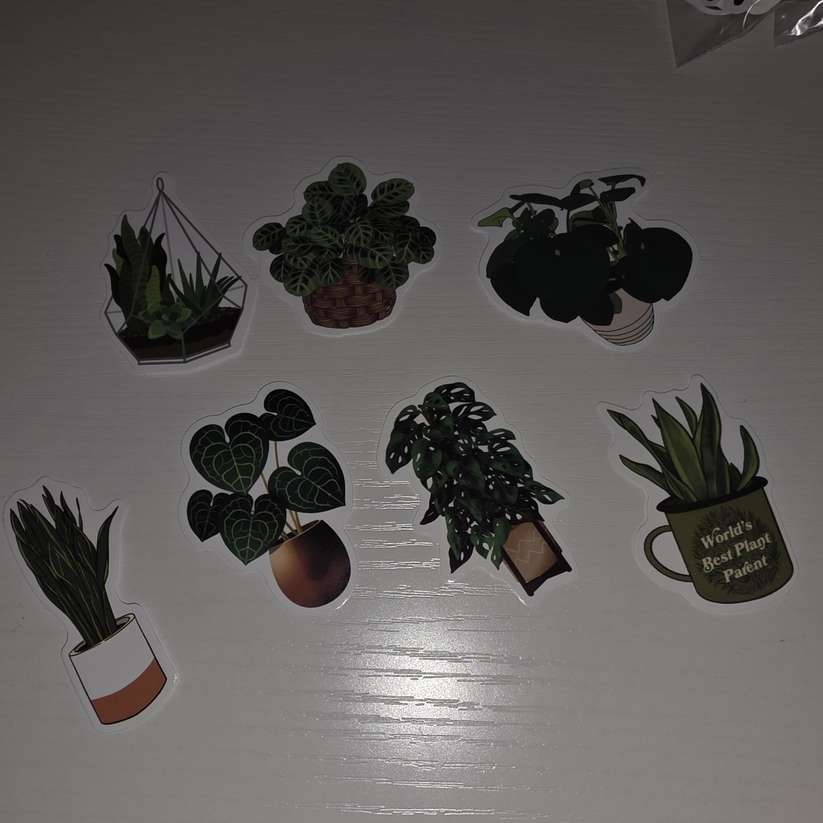 Plant Vinyl Stickers Set – Removable Decorative for Wall Laptop Notebook