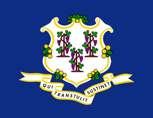 Connecticut Flag Vinyl Decal / Sticker ** 5 Sizes **