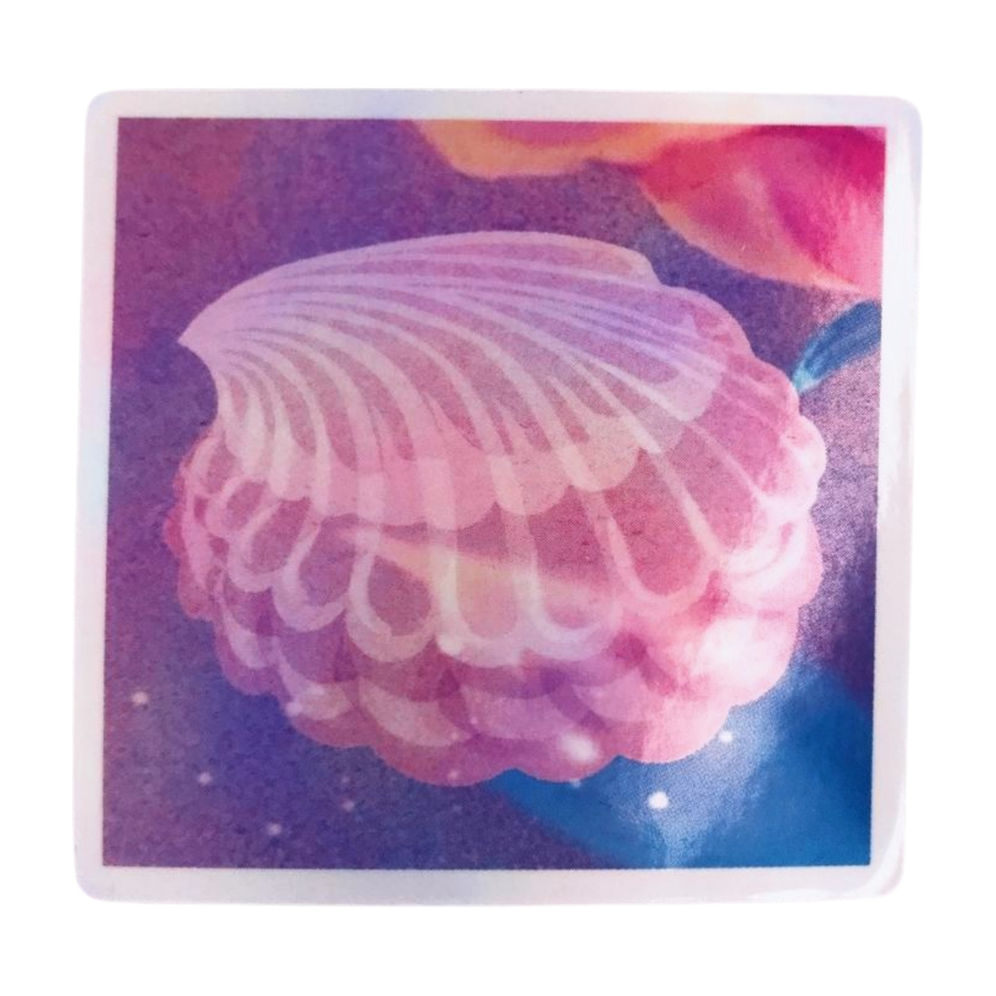 Seashell Sticker
