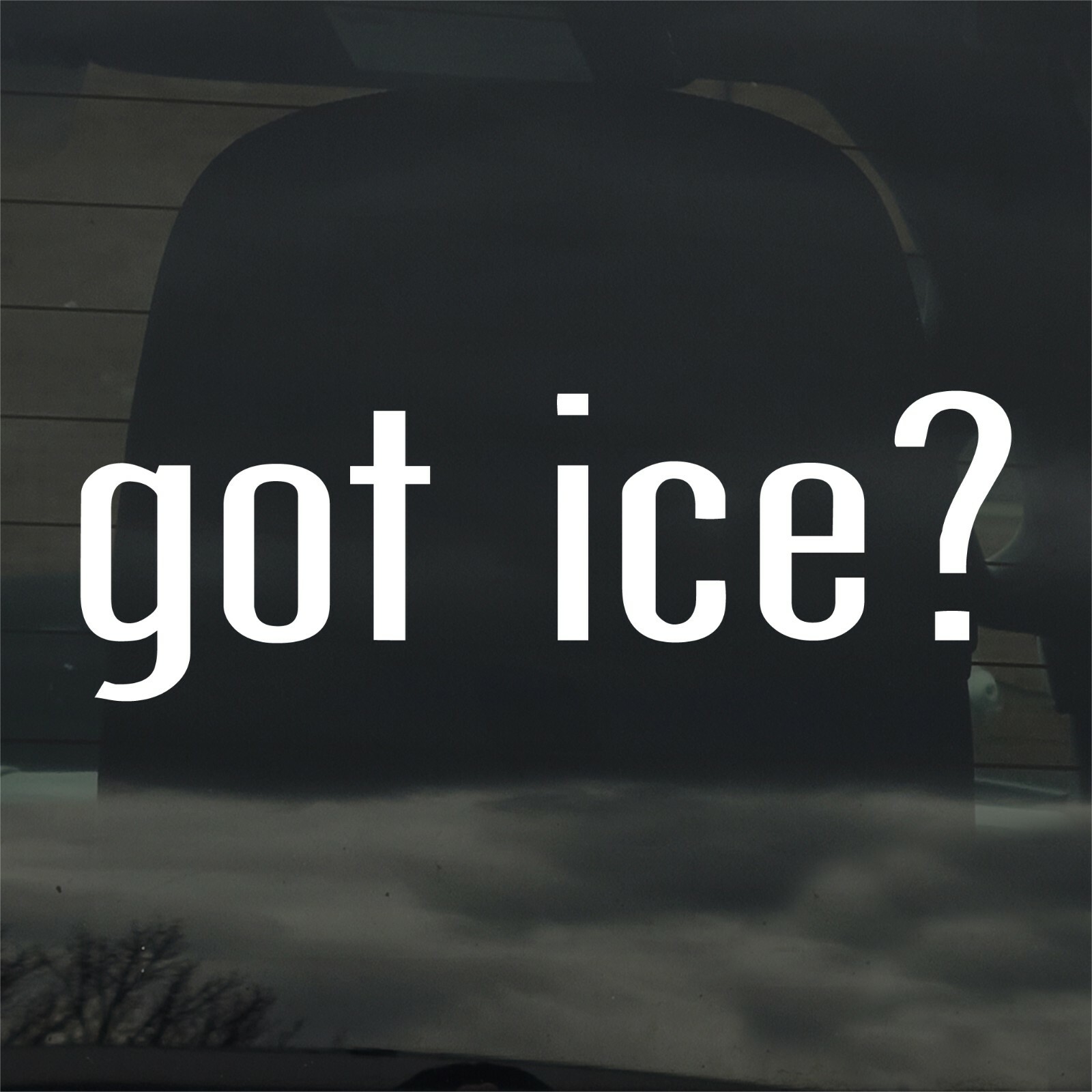 Got Ice? Custom Vinyl Sticker Decal Winter Skating Fishing Hockey Frozen