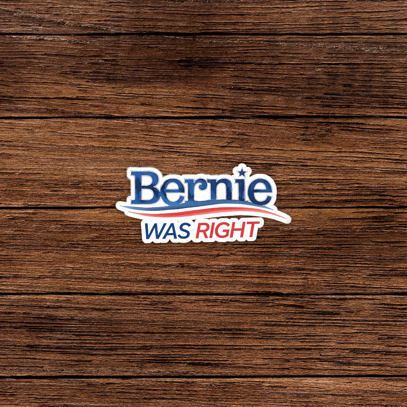 Bernie Sanders Was Right Political Campaign Sticker | Progressive Humor Gift #55