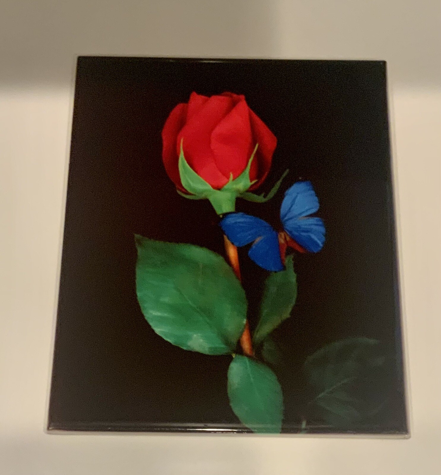 Blue Butterfly Rose Ceramic Tile Wall Decor 10″ x 8″ with D Hook Ready to Hang