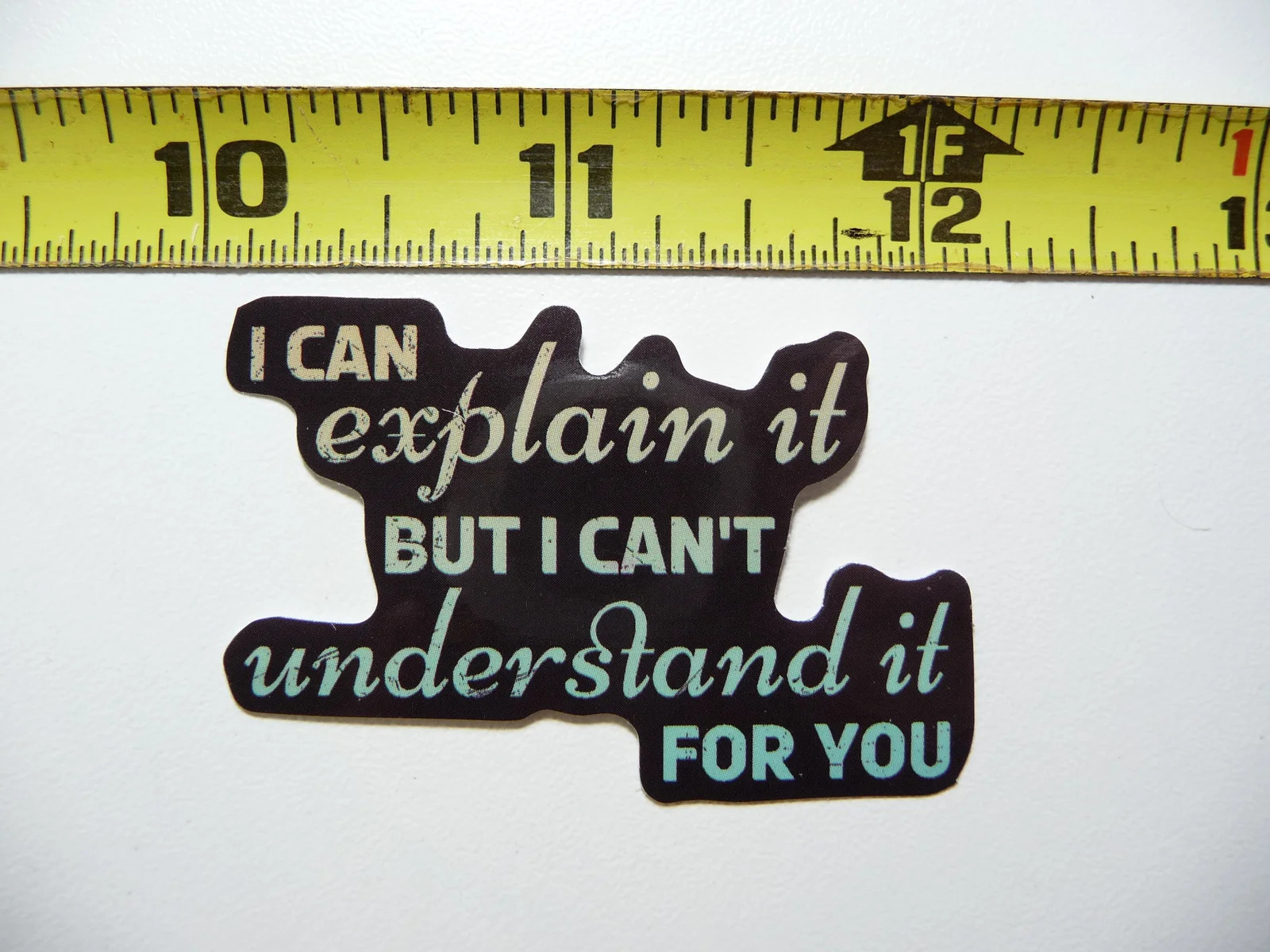 CAN EXPLAIN CAN’T UNDERSTAND SAYING SMALL STICKER DECAL FUNNY SARCASTIC SARCASM