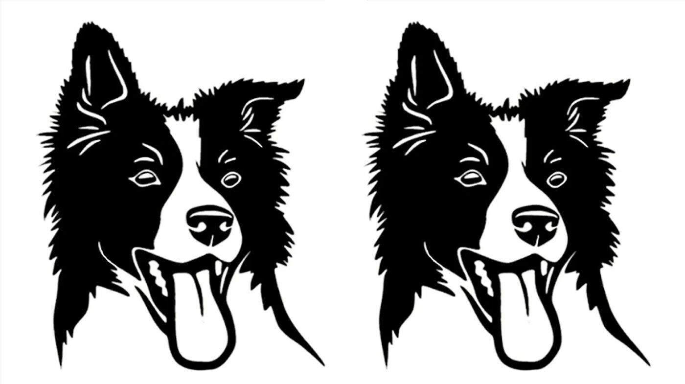 Border Collie Pack Black Vinyl Decals Car Windows Laptop Tablet Mailbox Bin