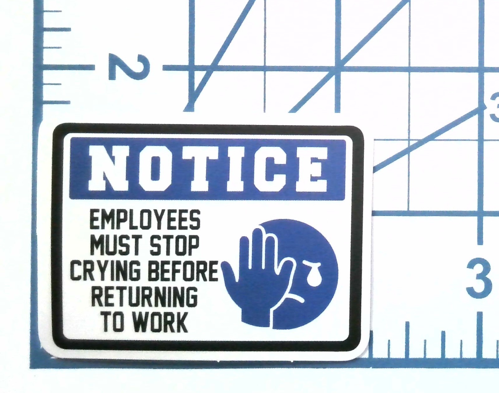 Employees Must Stop Crying Funny Notice Sticker Vinyl Decal Office Work Gift
