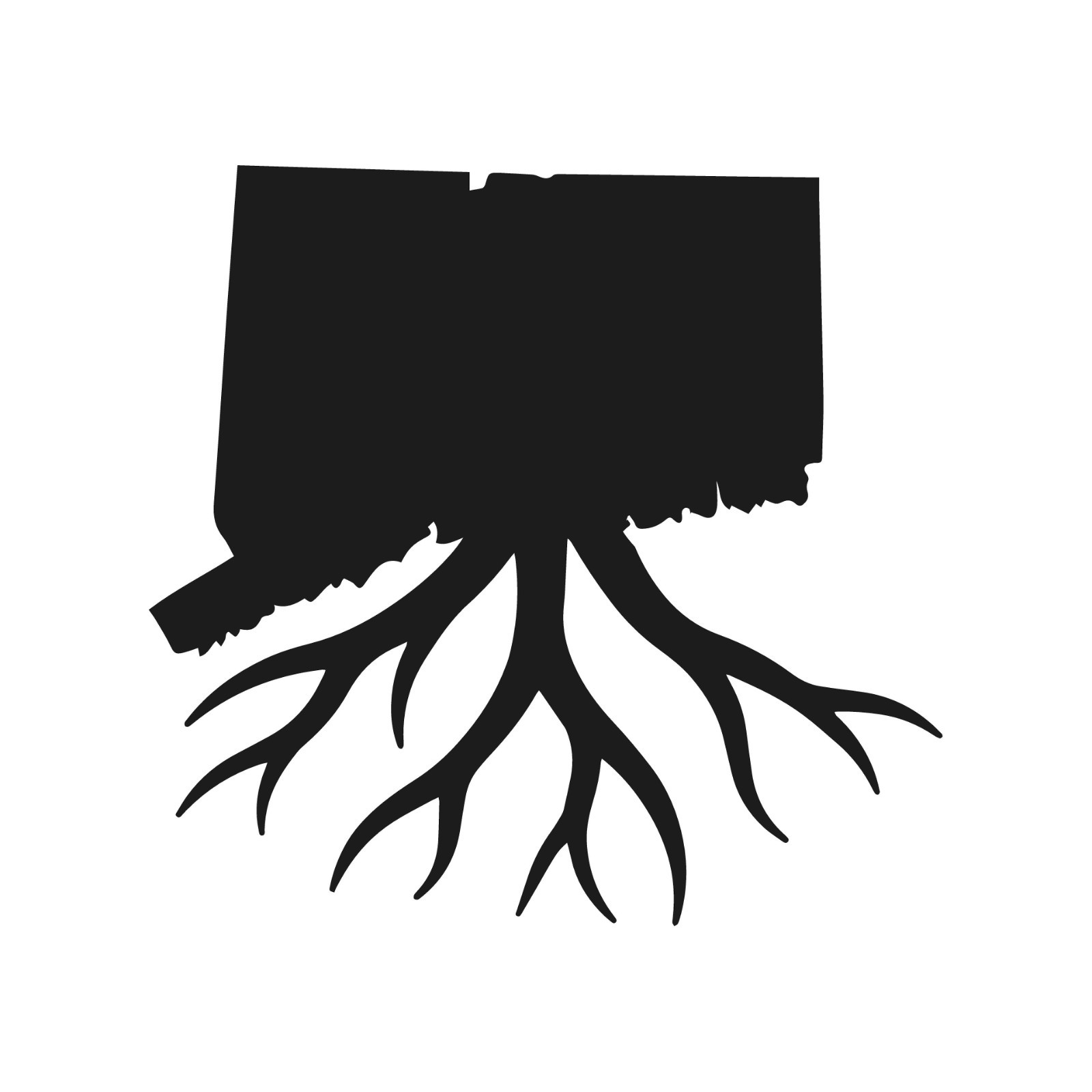 Connecticut Roots State Outline Vinyl Decal Connecticuters Heritage sticker