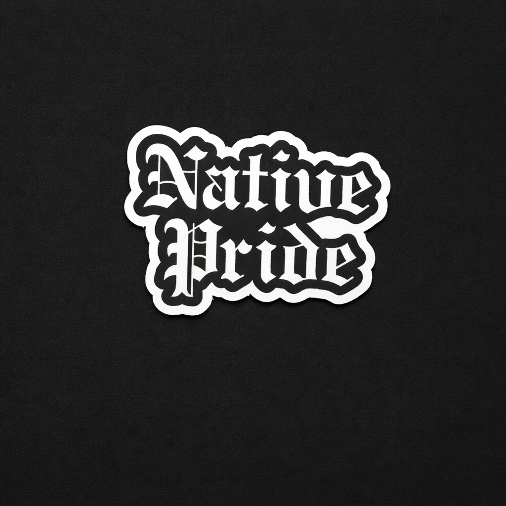 Indigenous Native American Stickers MMIW Indian Vinyl Decals Wolf Chief Tribal