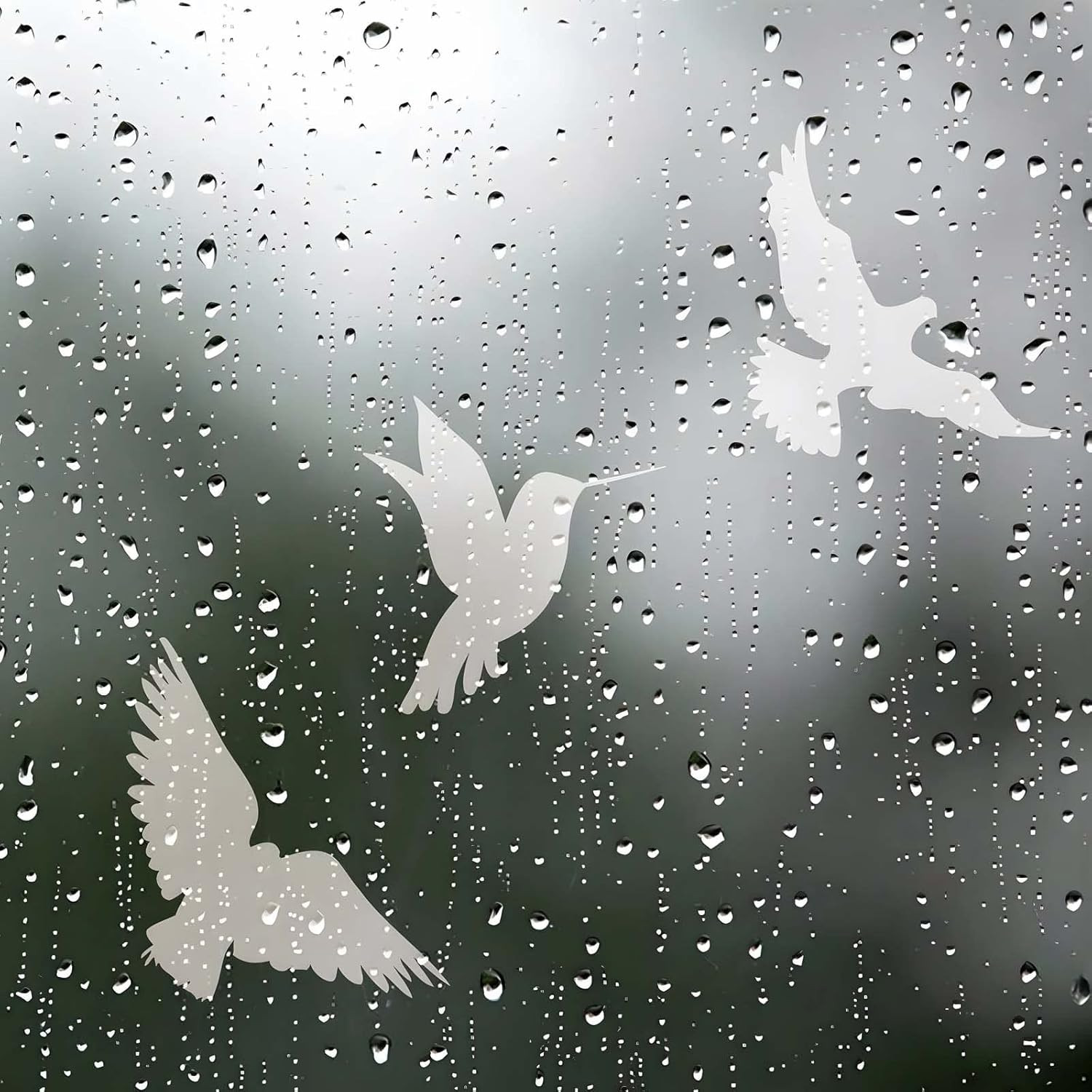 16 Pieces Window Decals to Prevent Bird Strikes, Hummingbird anti Collision