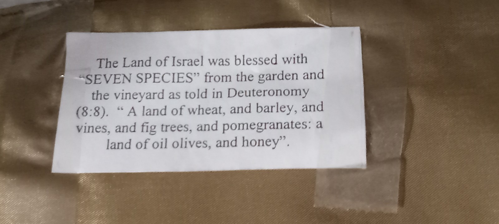 Jewish Wall Hanging