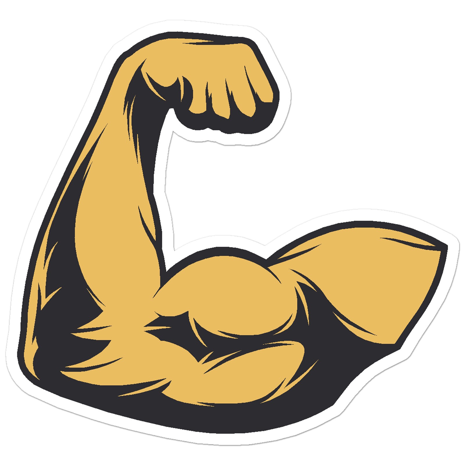 Bicep Muscle Weights – Vinyl Decal Sticker – Car Window Laptop – ebn11443