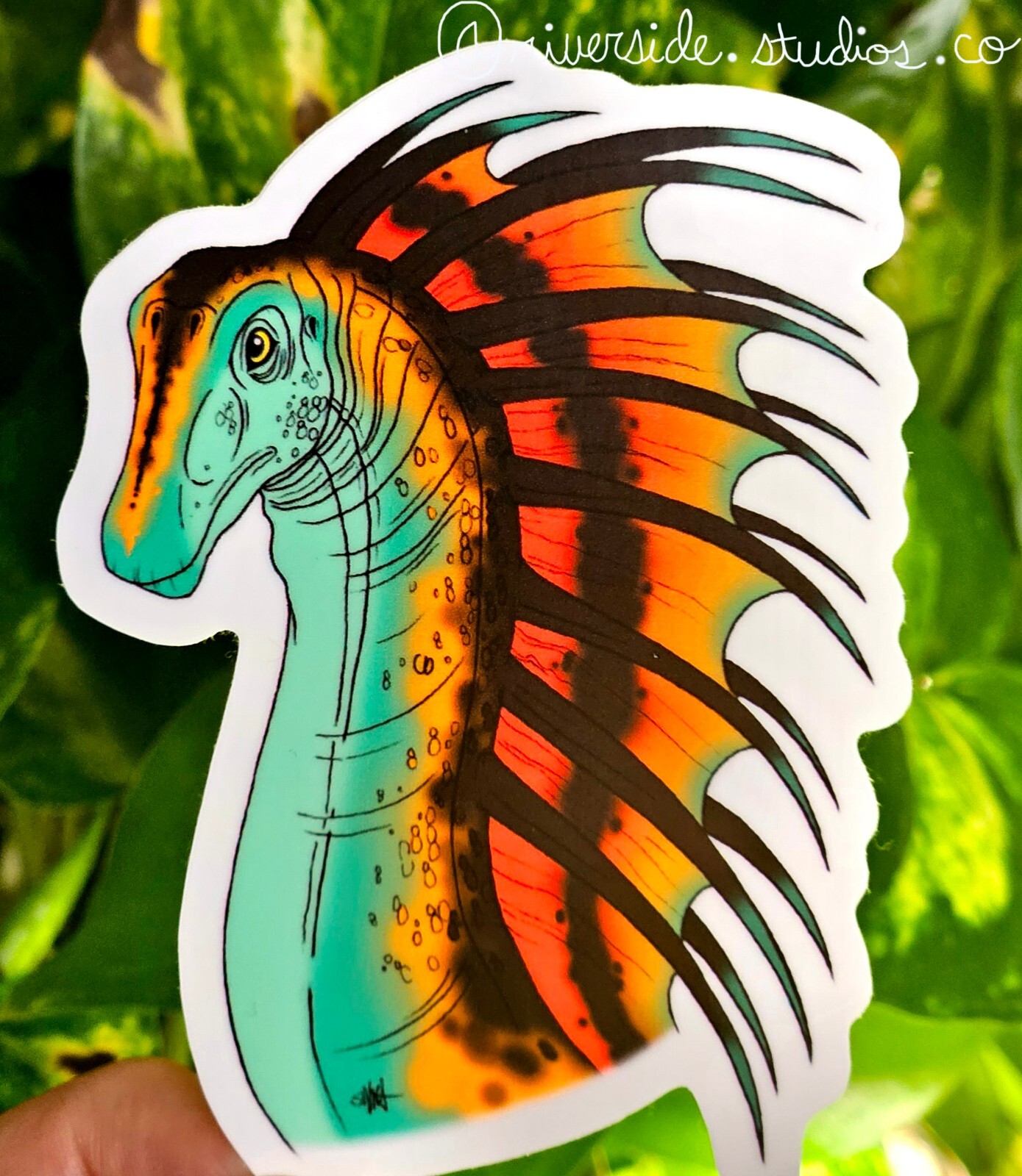 Amargasaurus Vinyl Sticker 3″ Original Paleoart Dinosaur Jurassic Park