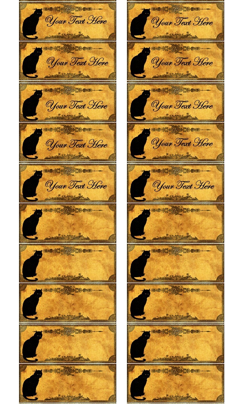 20 CAT BLANK LAMINATED GLOSSY SPICE LABELS ADDRESS LABELS PERSONALIZED