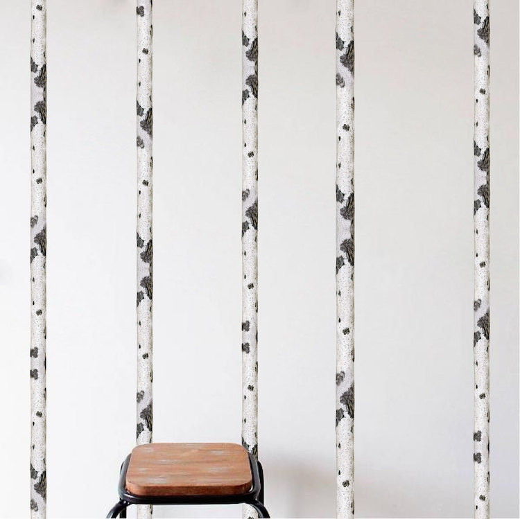 Birch Tree Wall Decal Aspen Trunk Wallpaper Vinyl Art Removable Plants, b95