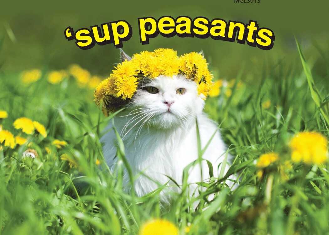 ‘SUP PEASANTS Funny Cat Kitchen Fridge Car Home Magnet – 3.5″ x 2.5″ Made in USA