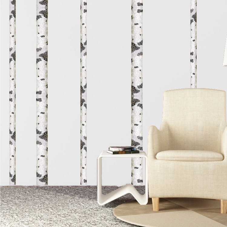 Birch Tree Wall Decal Aspen Trunk Wallpaper Vinyl Art Removable Plants, b95