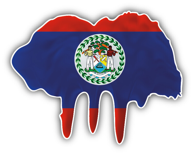 Belize Flag Blot Car Bumper Sticker Decal “SIZES”