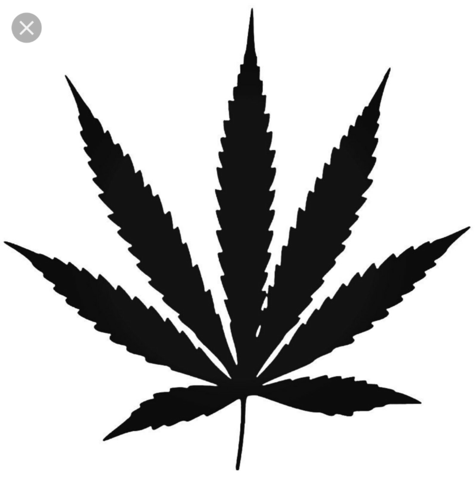 Pot Leaf Cannabis Vinyl Decal Sticker 420 Marijuana Weed 5″