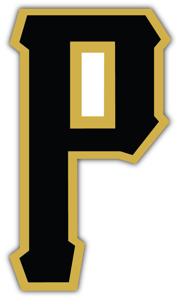 Pittsburgh Pirates MLB Baseball Sport Logo Car Bumper Sticker Decal ”SIZES”