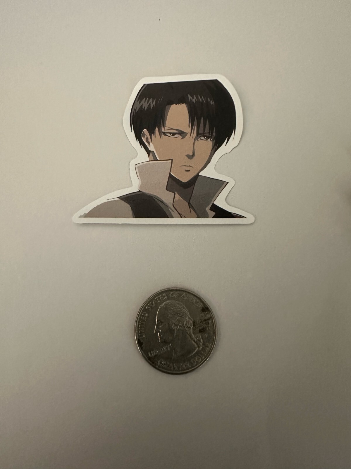 Attack on Titan Anime Vinyl Sticker Decal High Quality (Ships from USA)