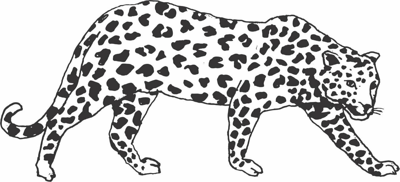 Vinyl Big Cat Animal Wall Decal Design | Cheetah Jaguar Leopard Home Decoration