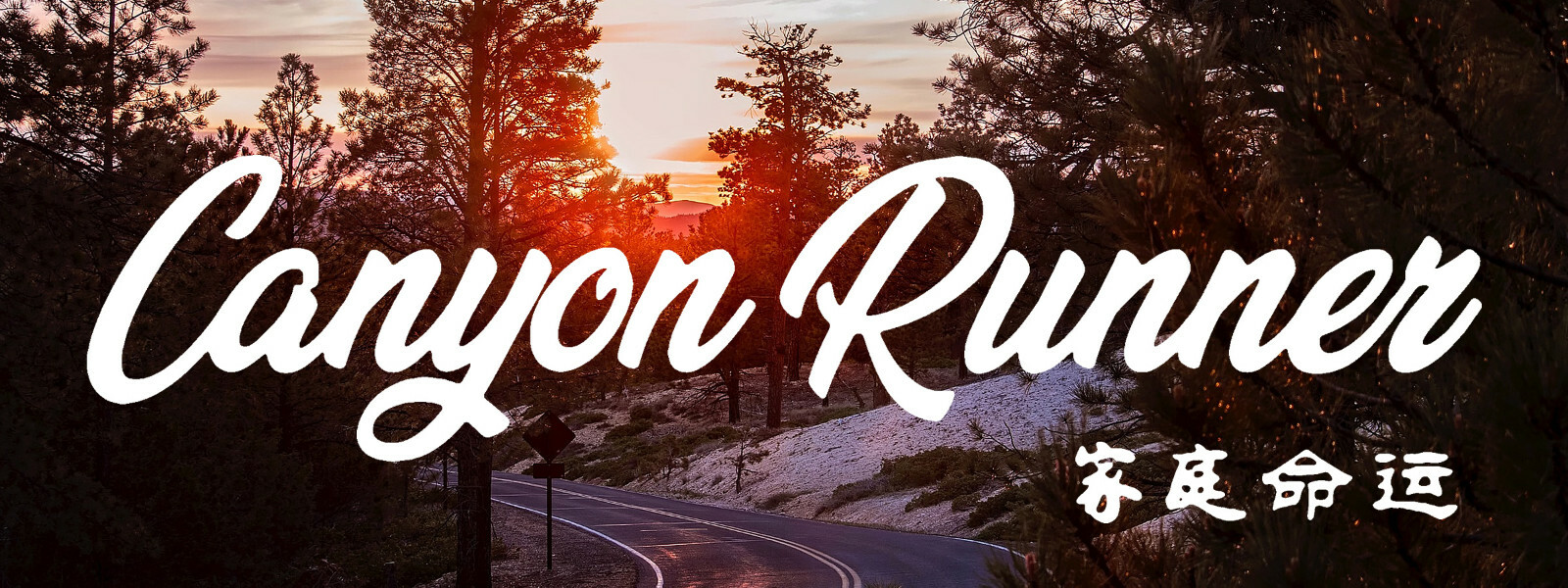 Canyon Runner JDM Vinyl Box Sticker Racing Drifting 8″ Slap Sticker