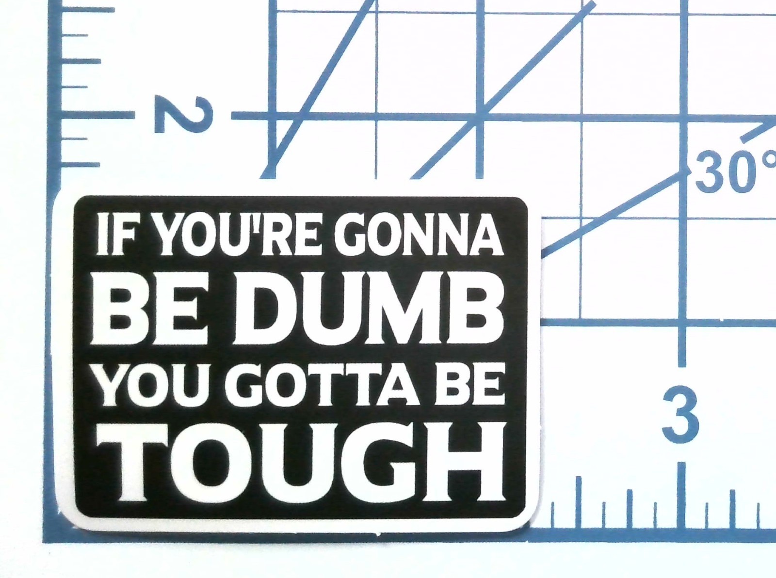 If You’re Gonna Be Dumb You Gotta Be Tough Sticker Vinyl Decal Funny Quote Gift