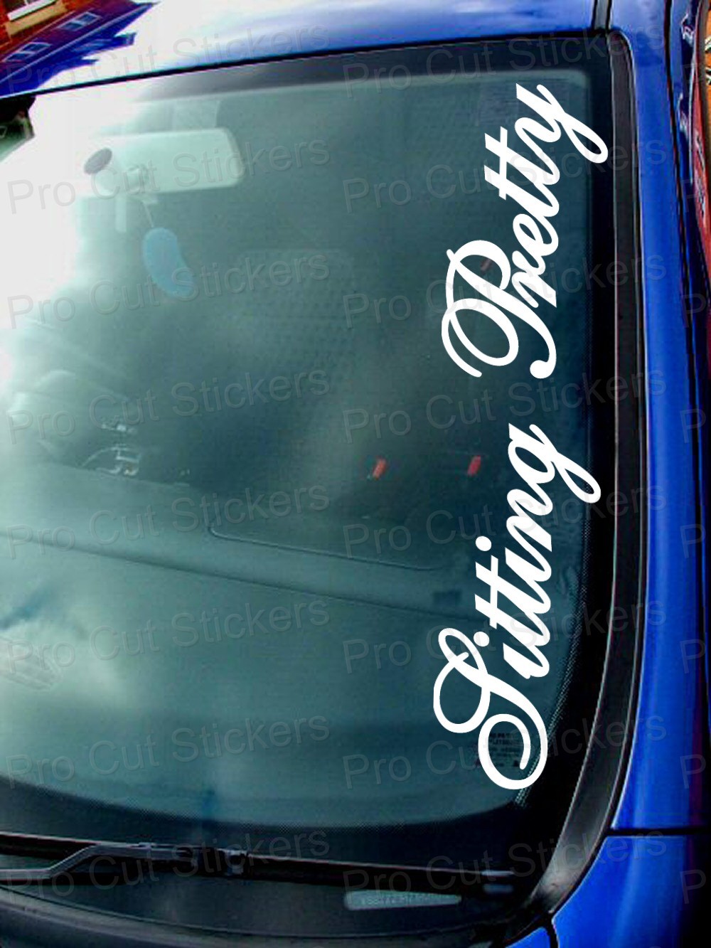 Sitting Pretty Small – Large Windscreen Car Van Sticker Decal Slammed Low ref:2