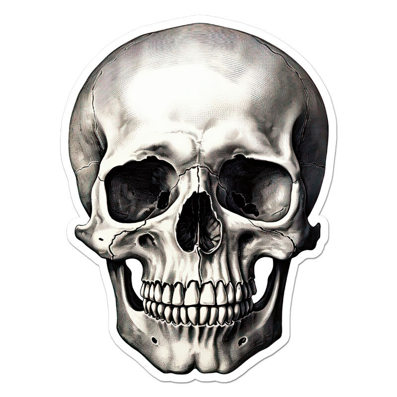 Human Skull, Vinyl Decal Sticker, Indoor Outdoor, 3 Sizes, #11799