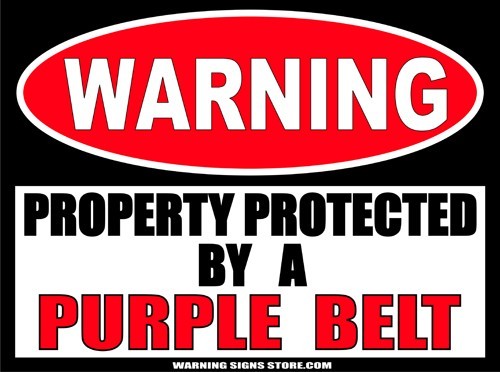 Purple Belt Decals Funny Martial Arts Warning Sign Bumper Stickers 2-pack WS295