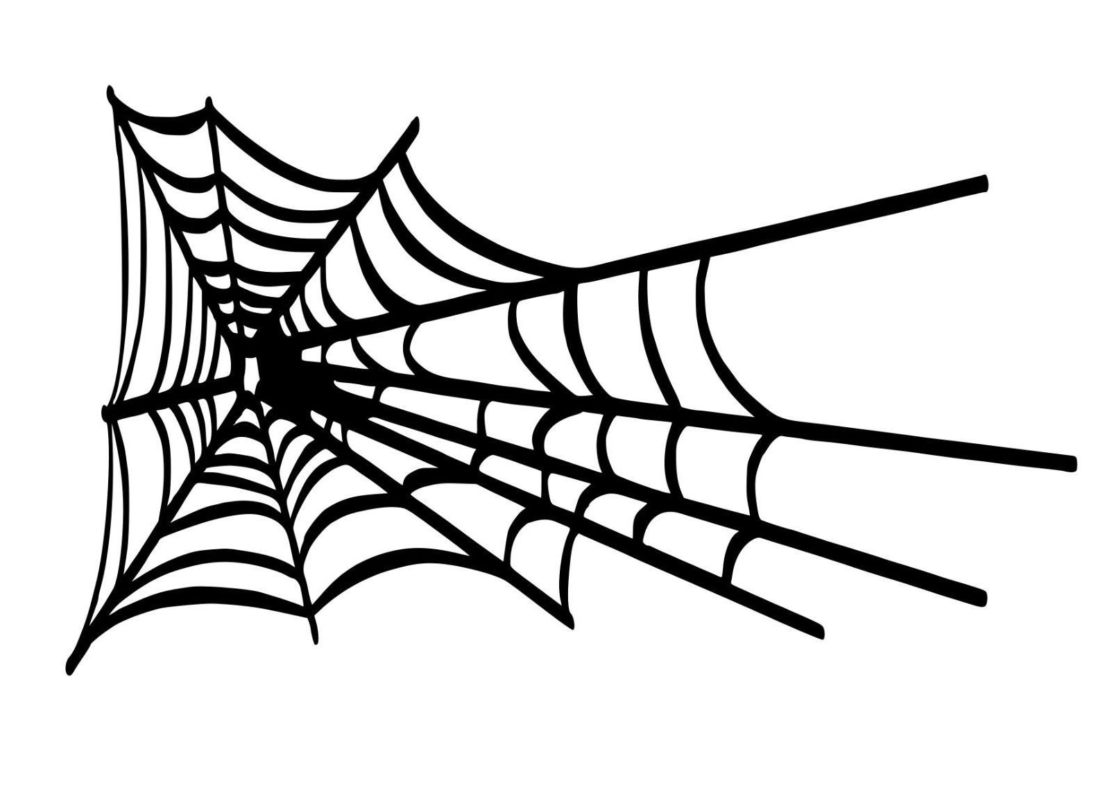Spider Web Vinyl Decal Great for Cars, Walls Signs 20″ x 12″ – Select Color