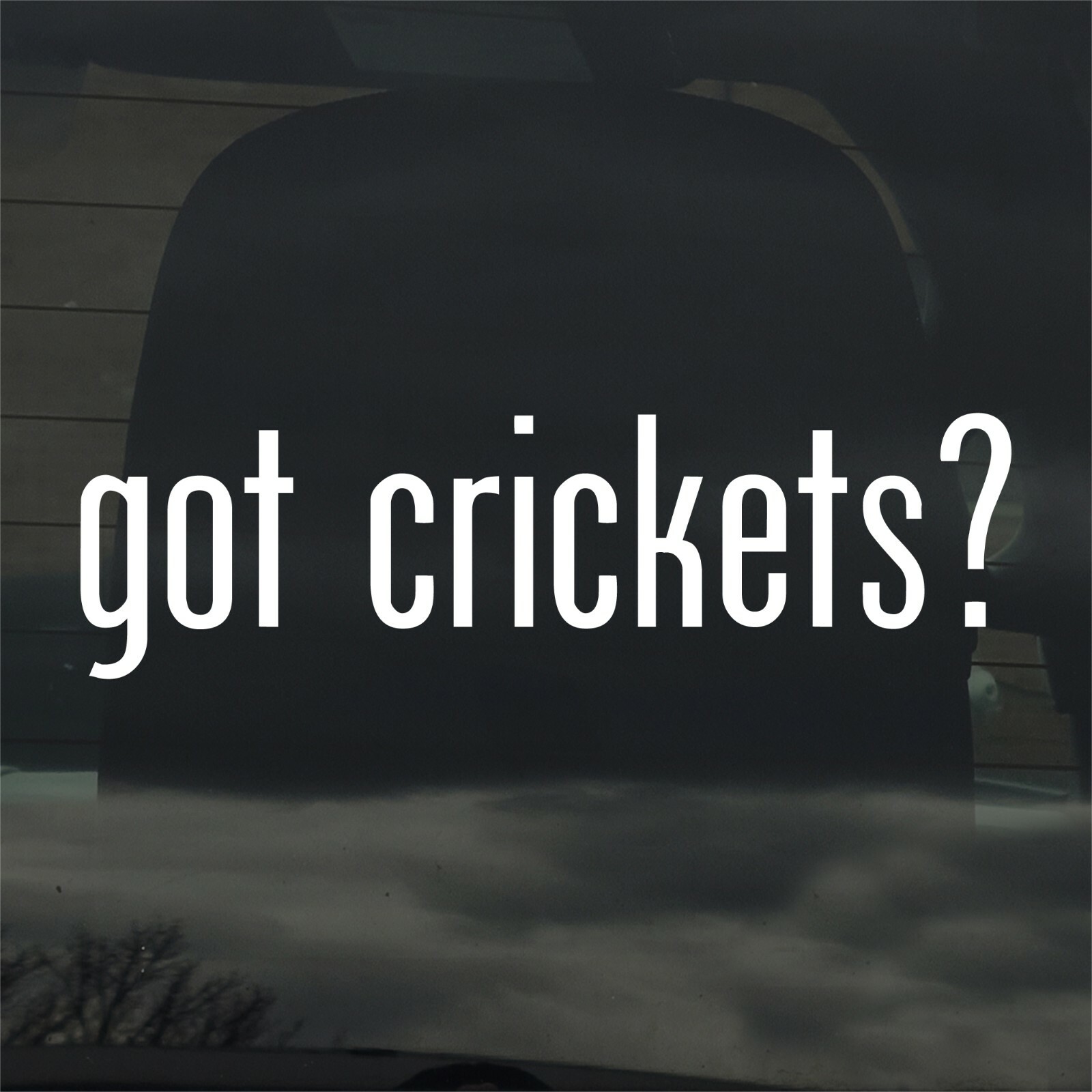 Got Crickets? Custom Vinyl Sticker / Decal Insects, Bugs, Reptiles