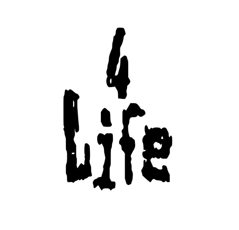 VINTAGE NWO “4 Life” Custom Sticker Decal Phone laptop Car Window art 4×6!
