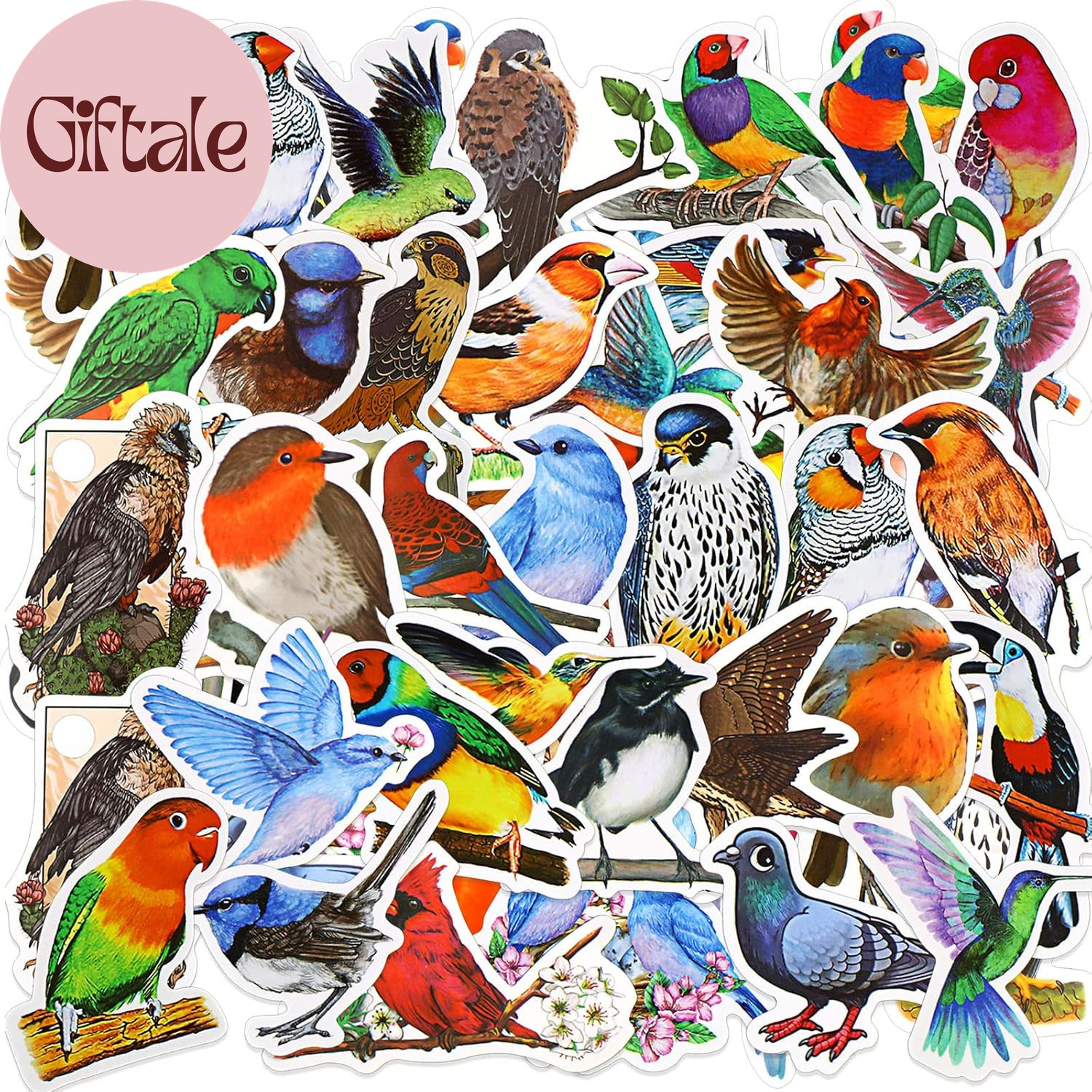 200 Pcs Birds Stickers Vinyls Waterproof Animal Cartoon Bird Decal for Kids Teen