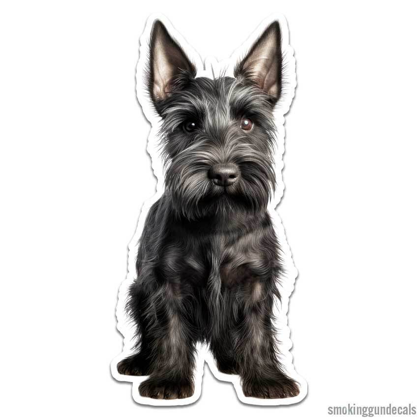 Scottish Terrier, Vinyl Decal Sticker, Indoor Outdoor, 3 Sizes, #12139
