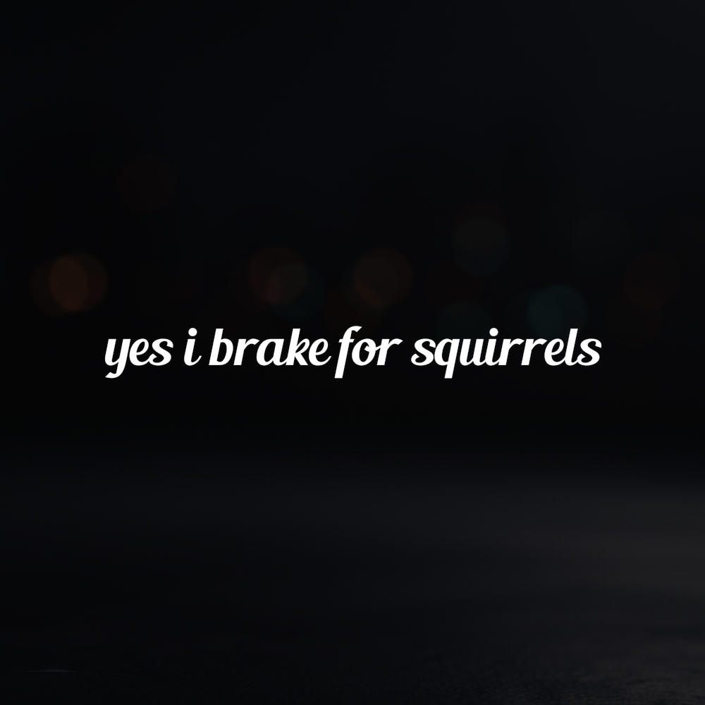 8in Vinyl Decal Sticker – “yes i brake for squirrels”
